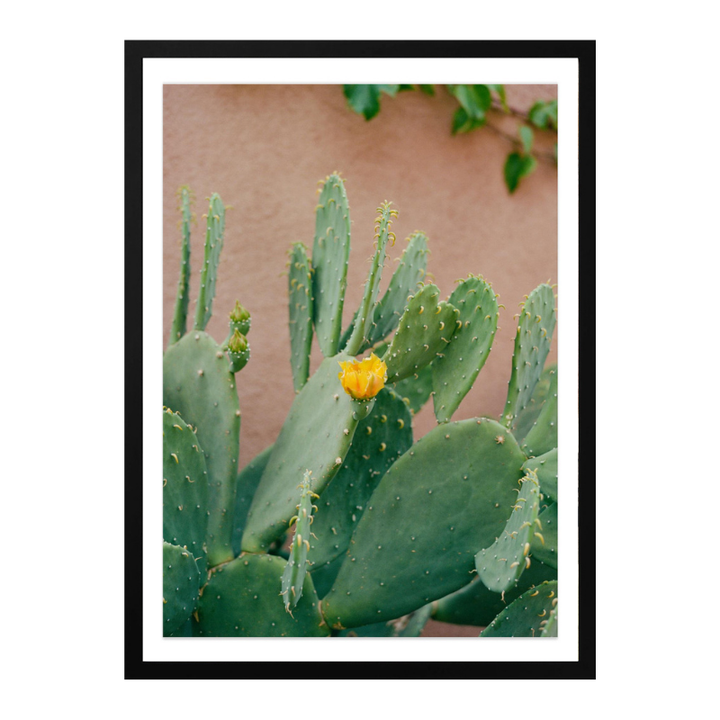 Cactus Art Print