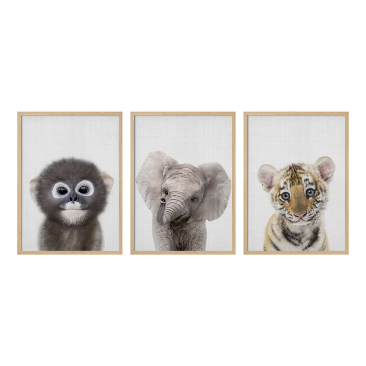 Set de cuadros "Wild Little Friends"