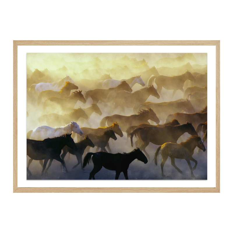 Cuadro "Wild horses"