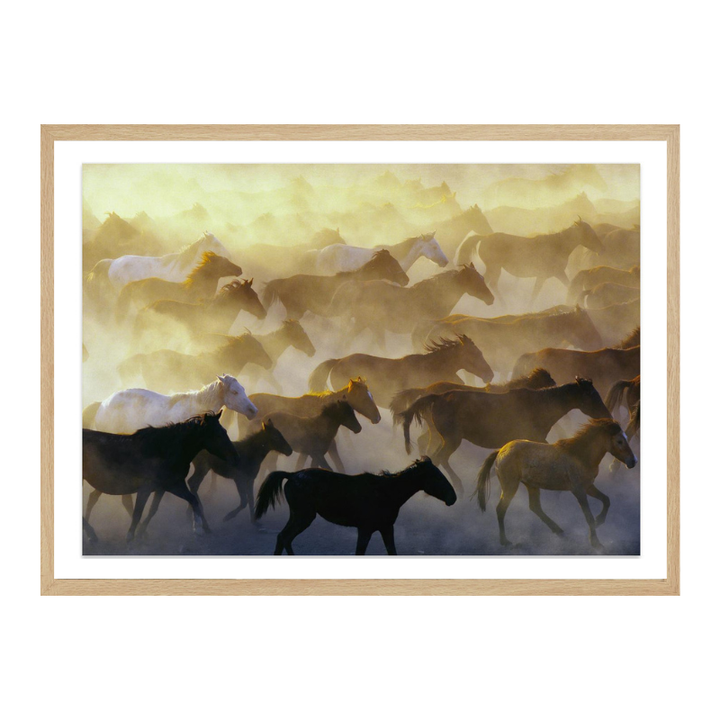 Cuadro "Wild horses"