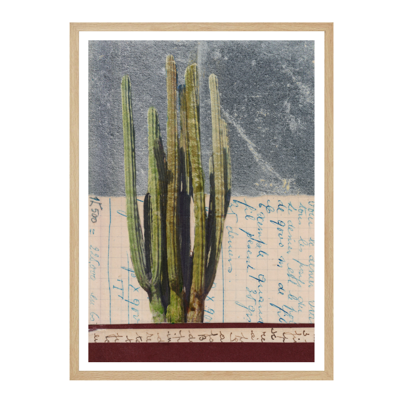 Cuadro "Vintage Cactus Study"
