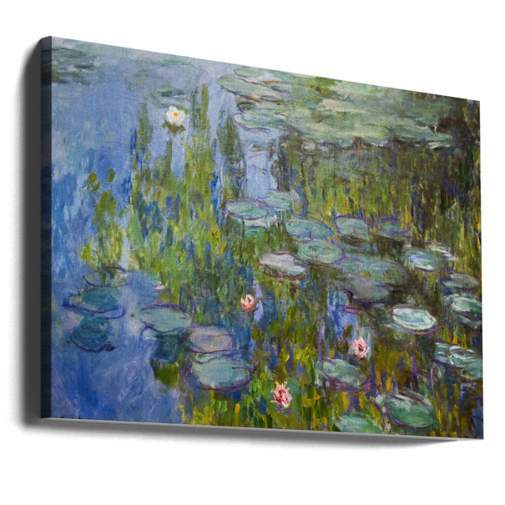 Cuadro "Water Lilies (1915)"