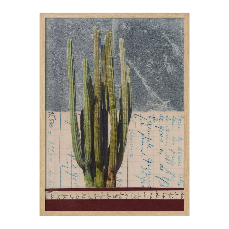 Cuadro "Vintage Cactus Study"