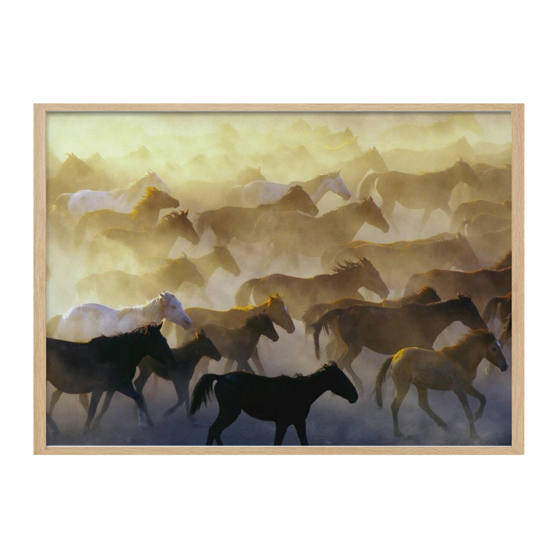 Cuadro "Wild horses"