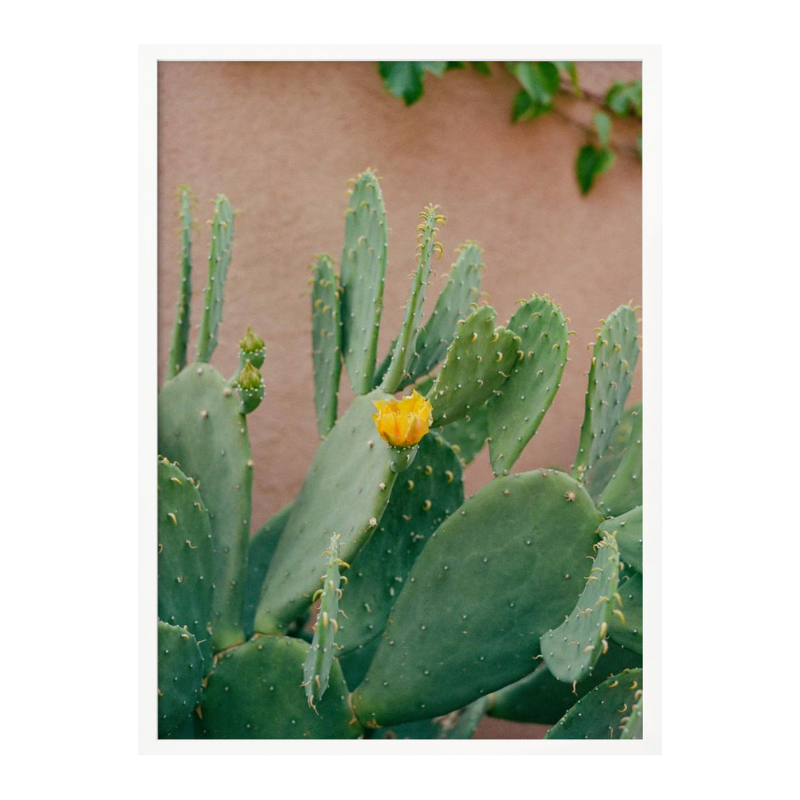 Cactus Art Print