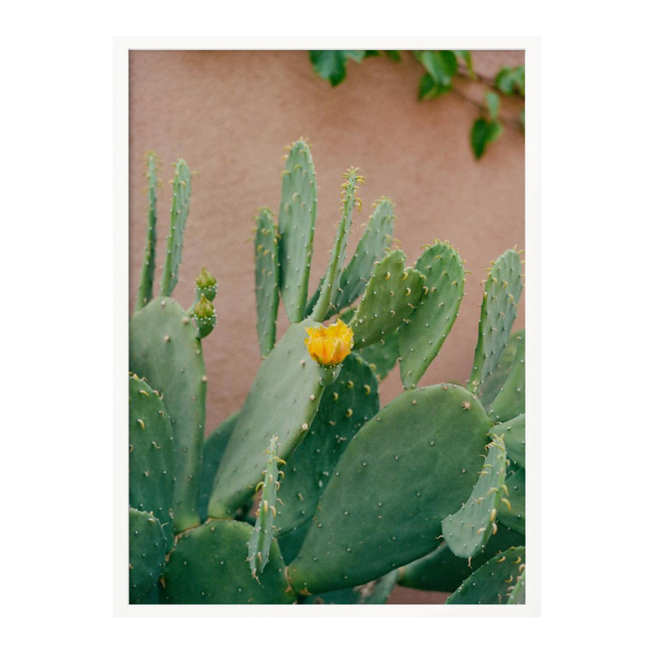 Cactus Art Print