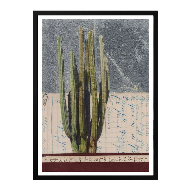 Cuadro "Vintage Cactus Study"