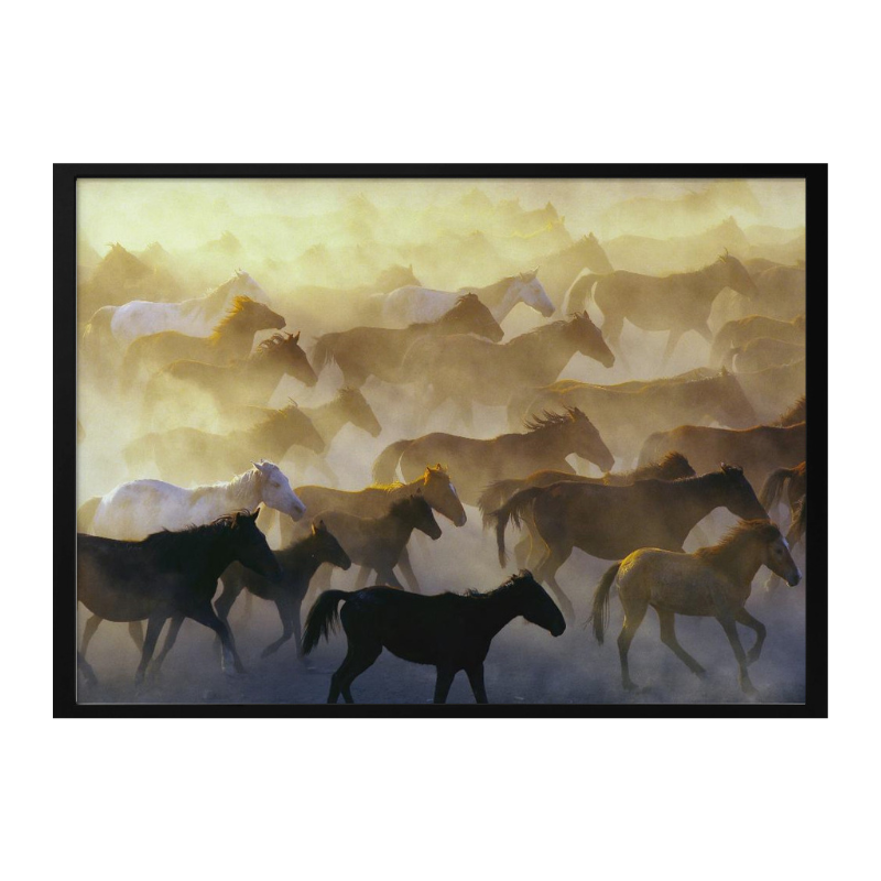 Cuadro "Wild horses"