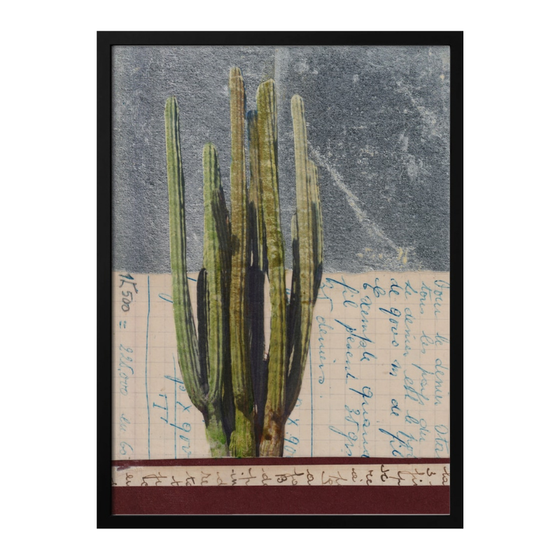 Cuadro "Vintage Cactus Study"