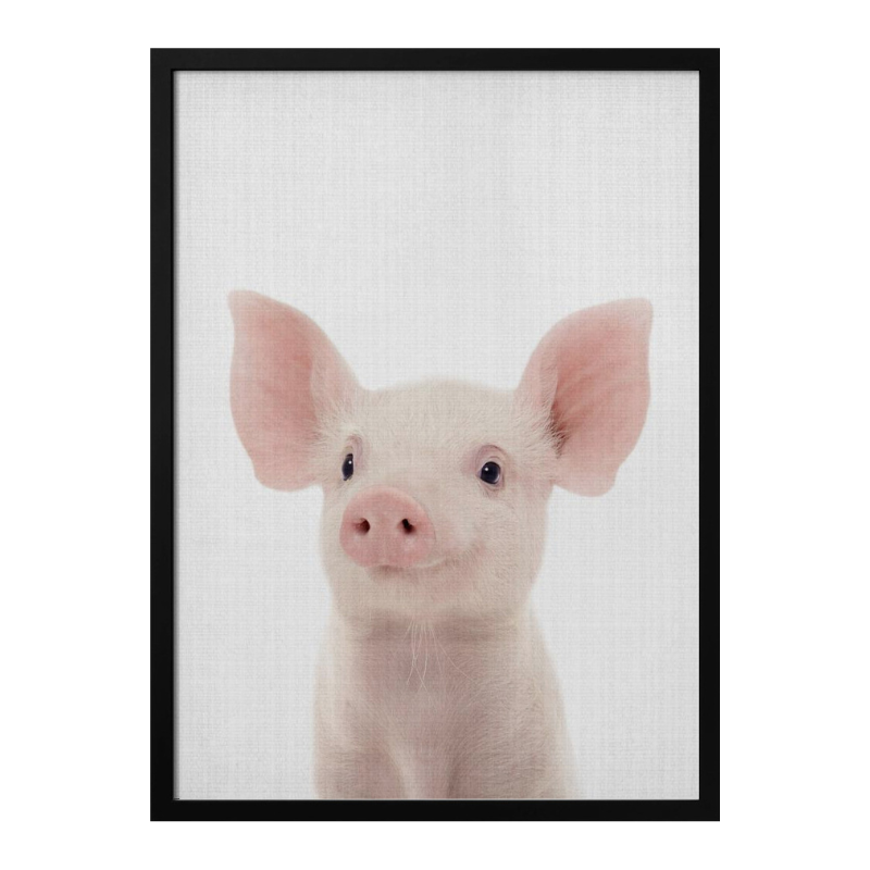 Peekaboo Baby Pig Art Print