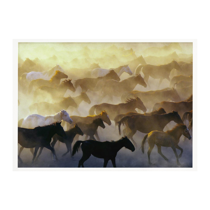 Cuadro "Wild horses"