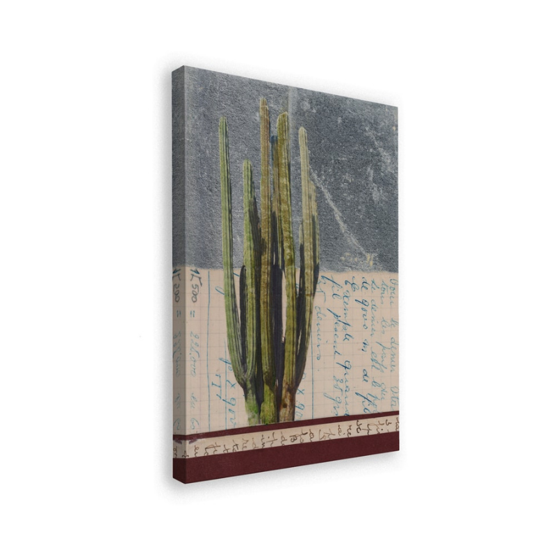 Cuadro "Vintage Cactus Study"