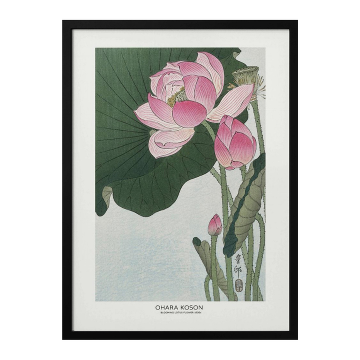 Cuadro "Blooming Lotus Flowers"