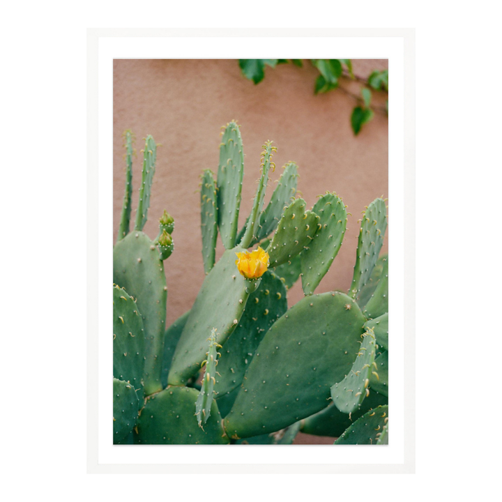 Cactus Art Print