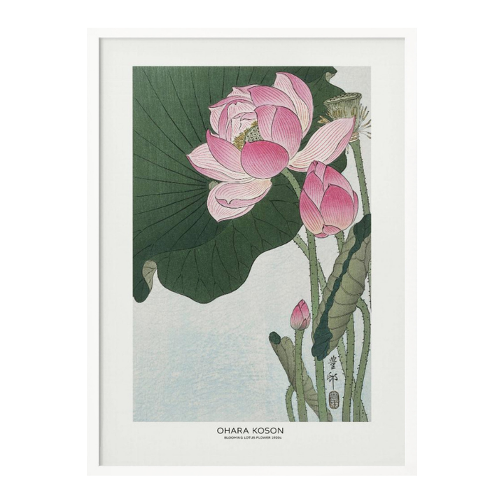 Cuadro "Blooming Lotus Flowers"
