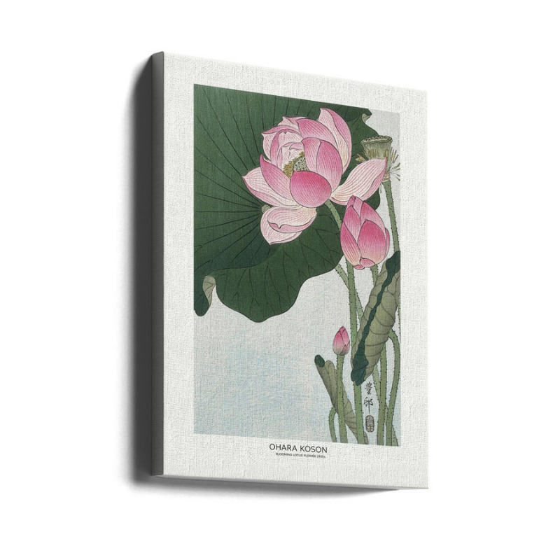 Cuadro "Blooming Lotus Flowers"