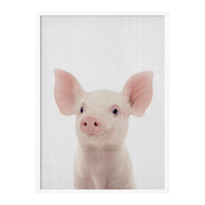 Peekaboo Baby Pig Art Print