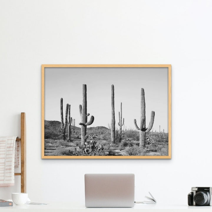 Gray Cactus Land Art Print