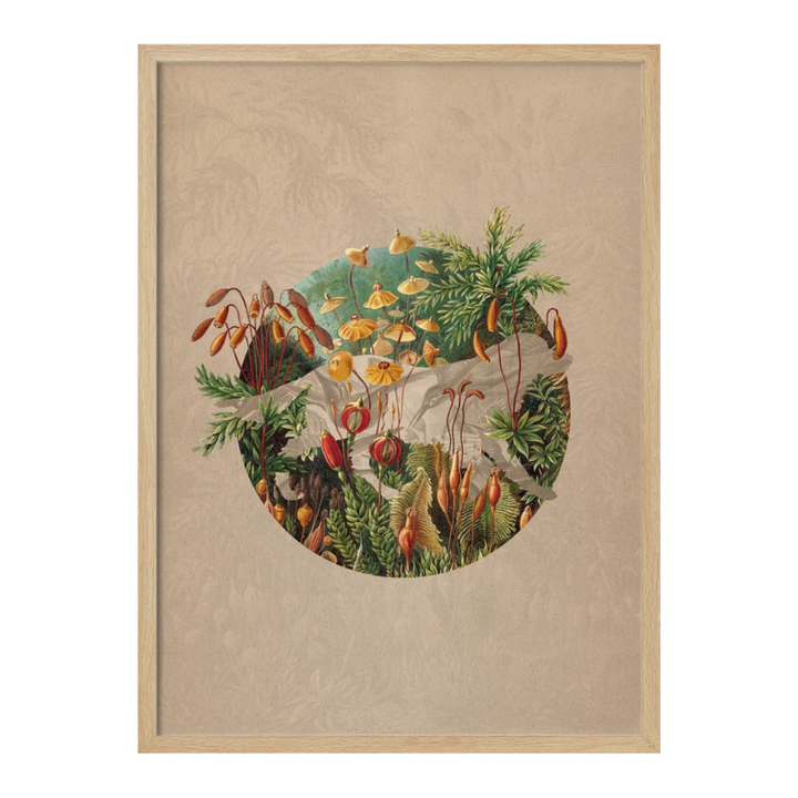 Cuadro "Vintage Botanical Globe"