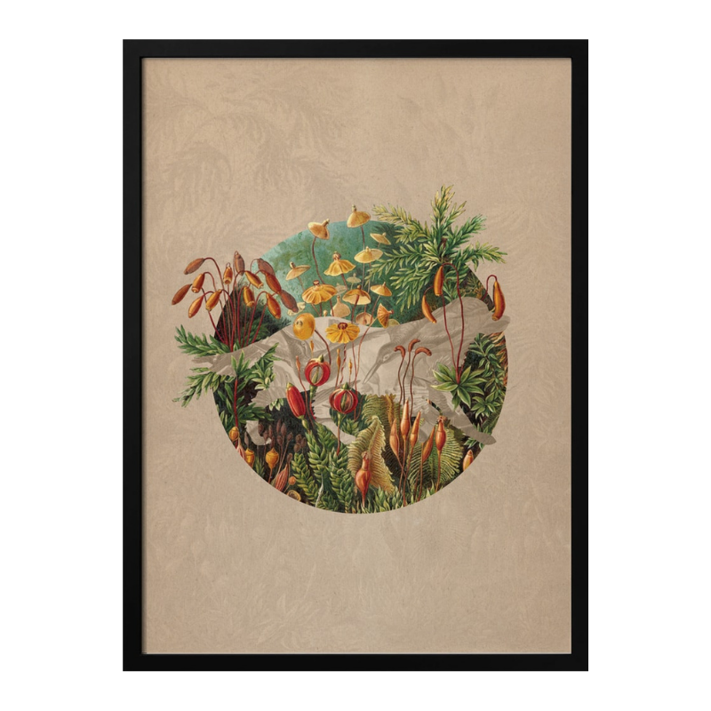 Cuadro "Vintage Botanical Globe"