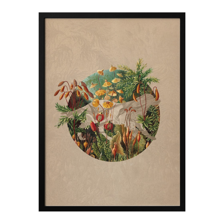 Cuadro "Vintage Botanical Globe"