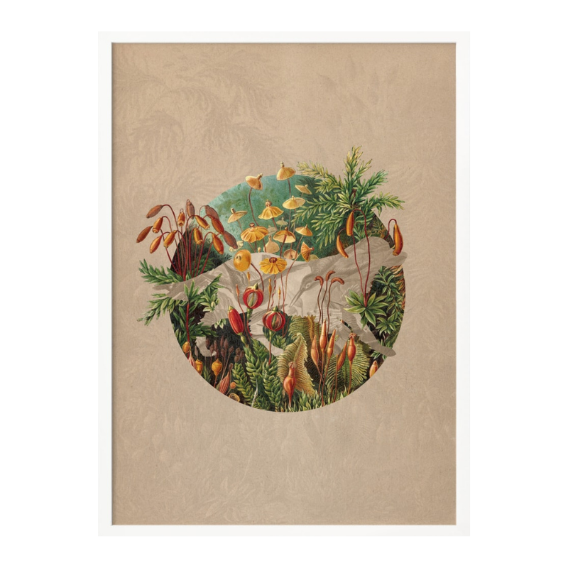 Cuadro "Vintage Botanical Globe"