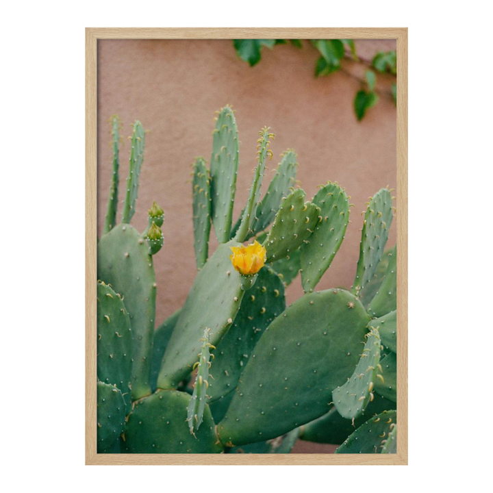 Cactus Art Print