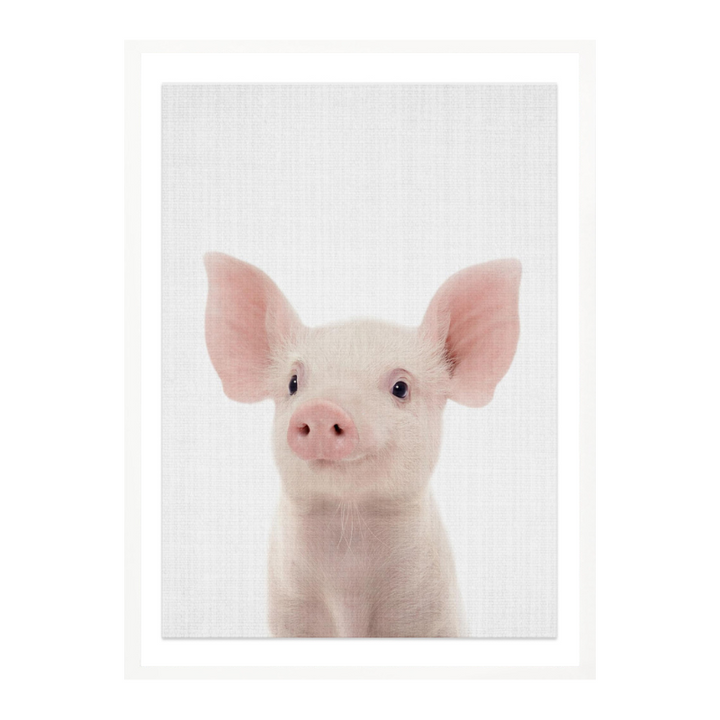 Peekaboo Baby Pig Art Print