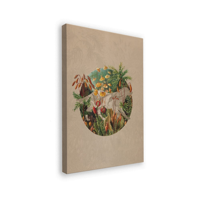 Cuadro "Vintage Botanical Globe"