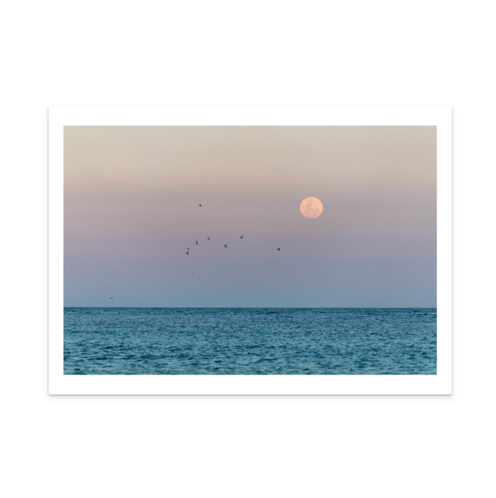 Moonrise Art Print