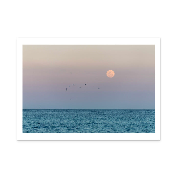 Moonrise Art Print