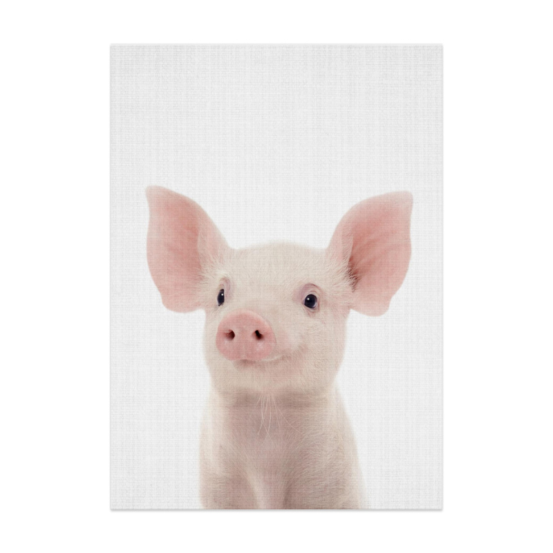 Peekaboo Baby Pig Art Print