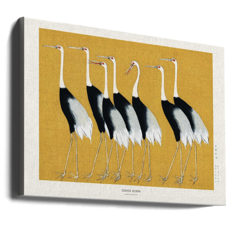 Cuadro "Japanese Red Crown Crane"