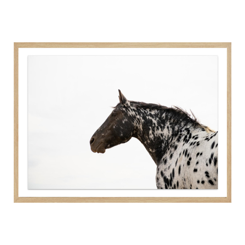 Cuadro "Andromeda 4"