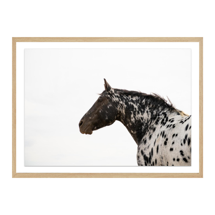 Cuadro "Andromeda 4"