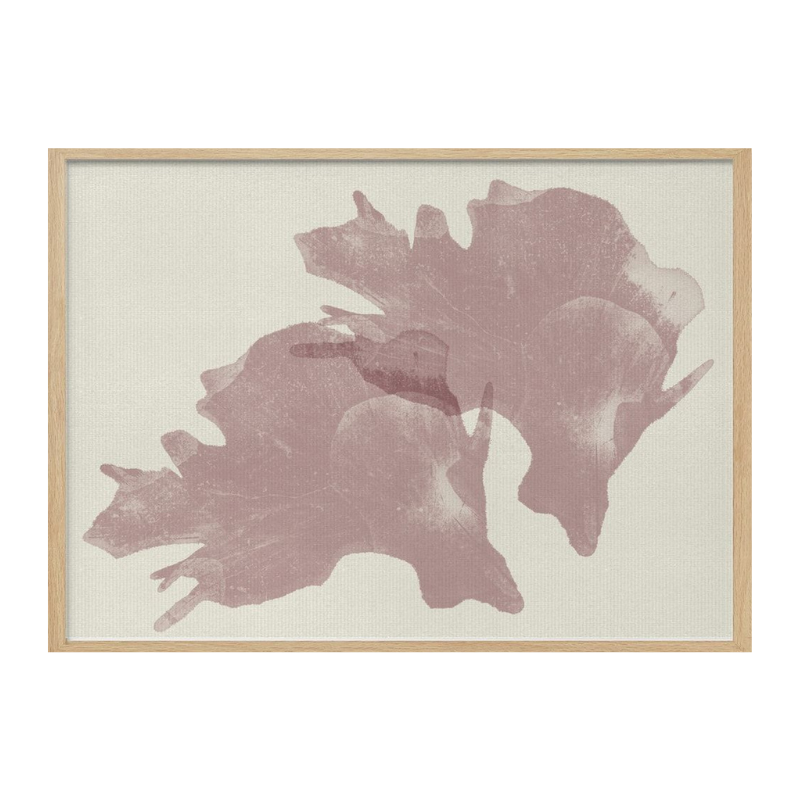 Cuadro "Ethereal Organic Shapes"