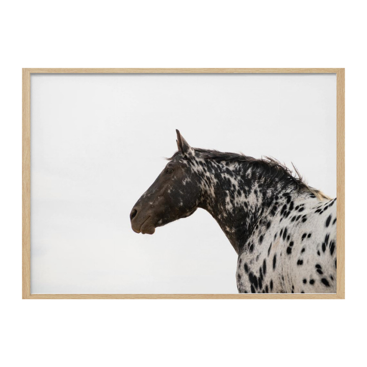 Cuadro "Andromeda 4"