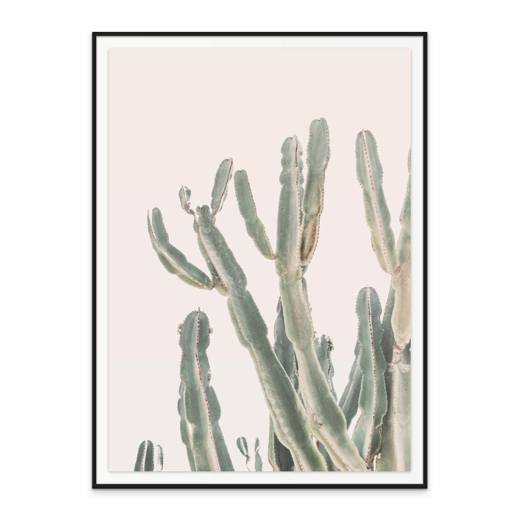 Sunrise Cactus Art Print