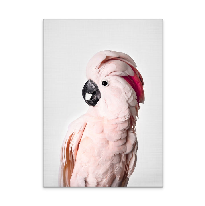 Pink Cockatoo Art Print