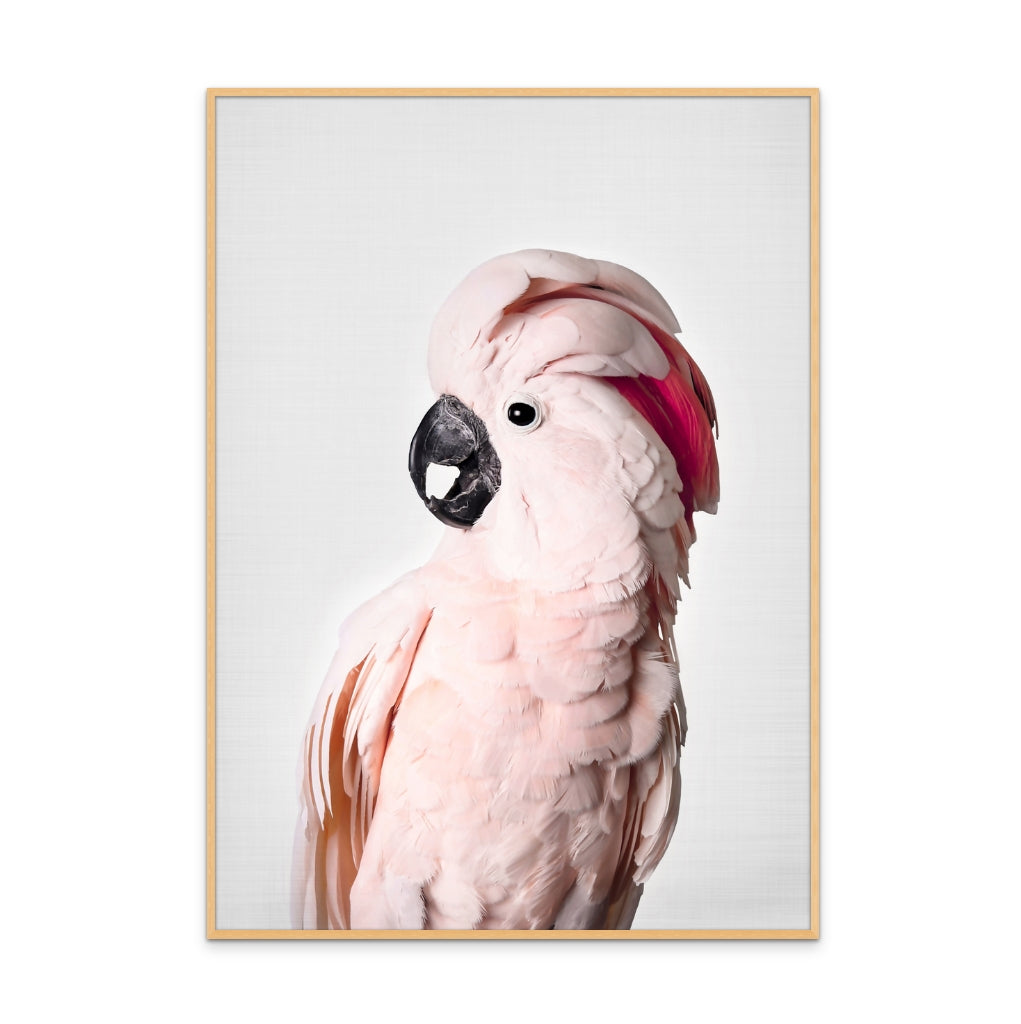 Pink Cockatoo Art Print