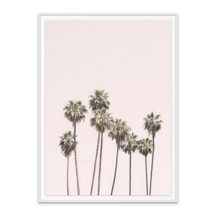 Blush Palms Art Print