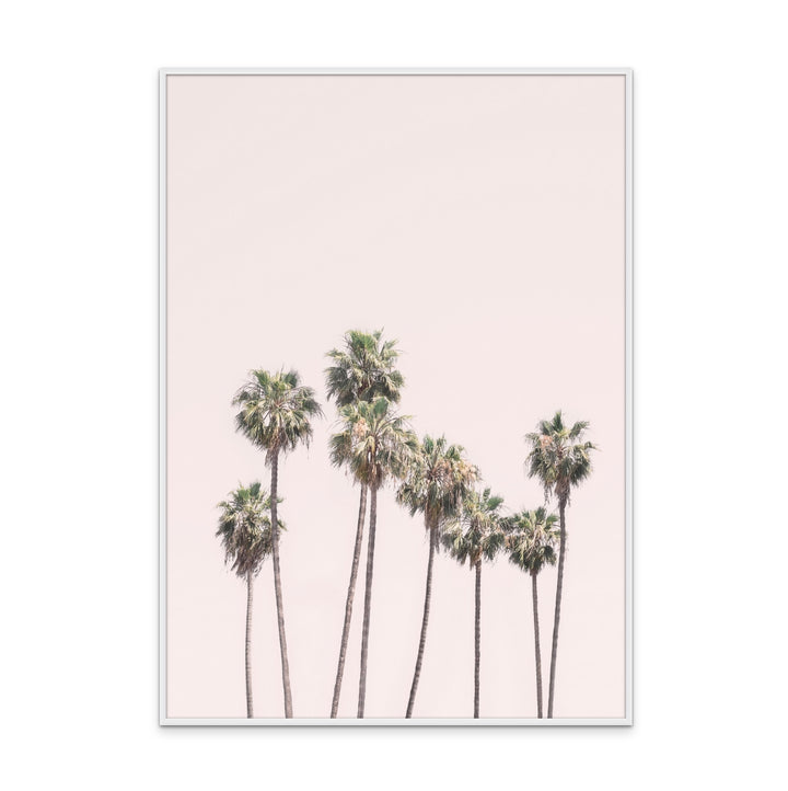 Blush Palms Art Print