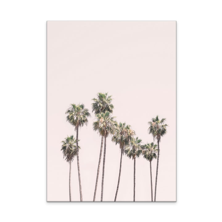 Blush Palms Art Print