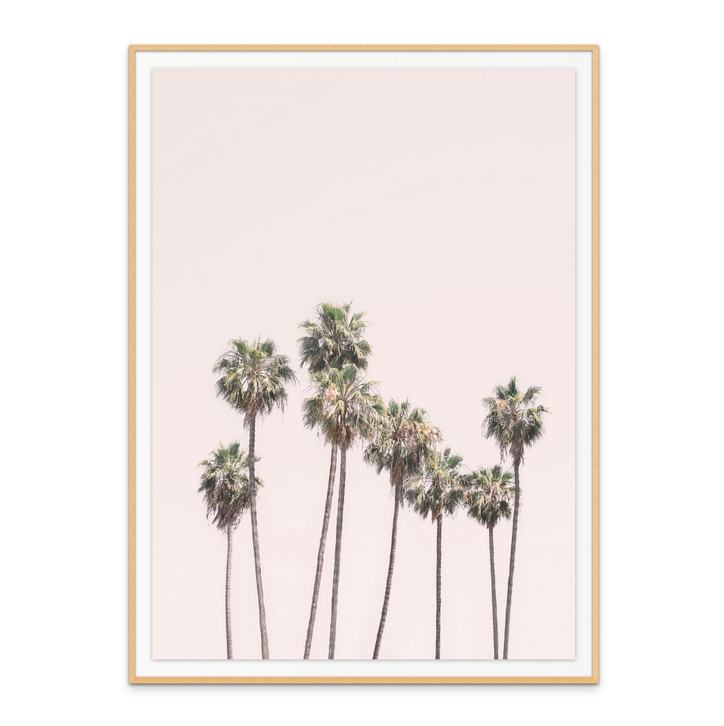 Blush Palms Art Print