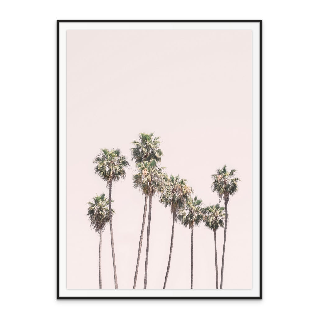 Blush Palms Art Print