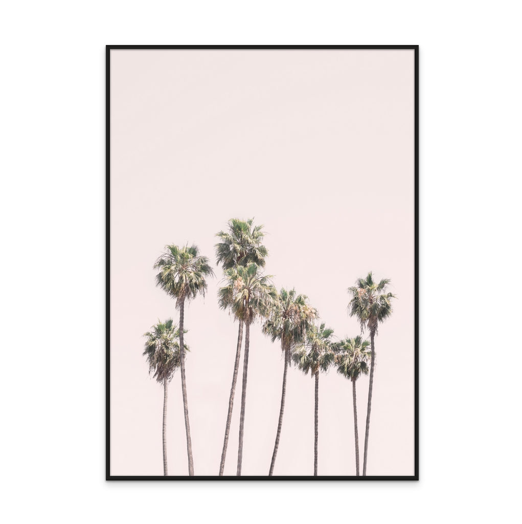 Blush Palms Art Print