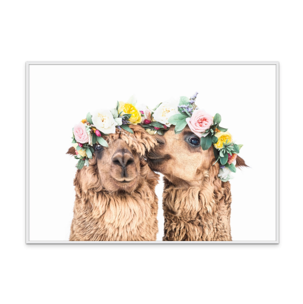 Boho Alpacas Art Print