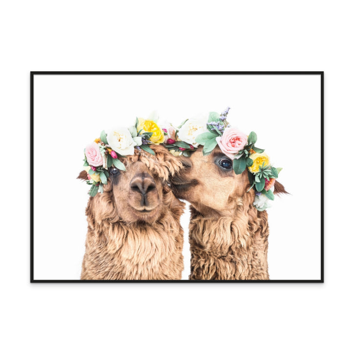 Boho Alpacas Art Print