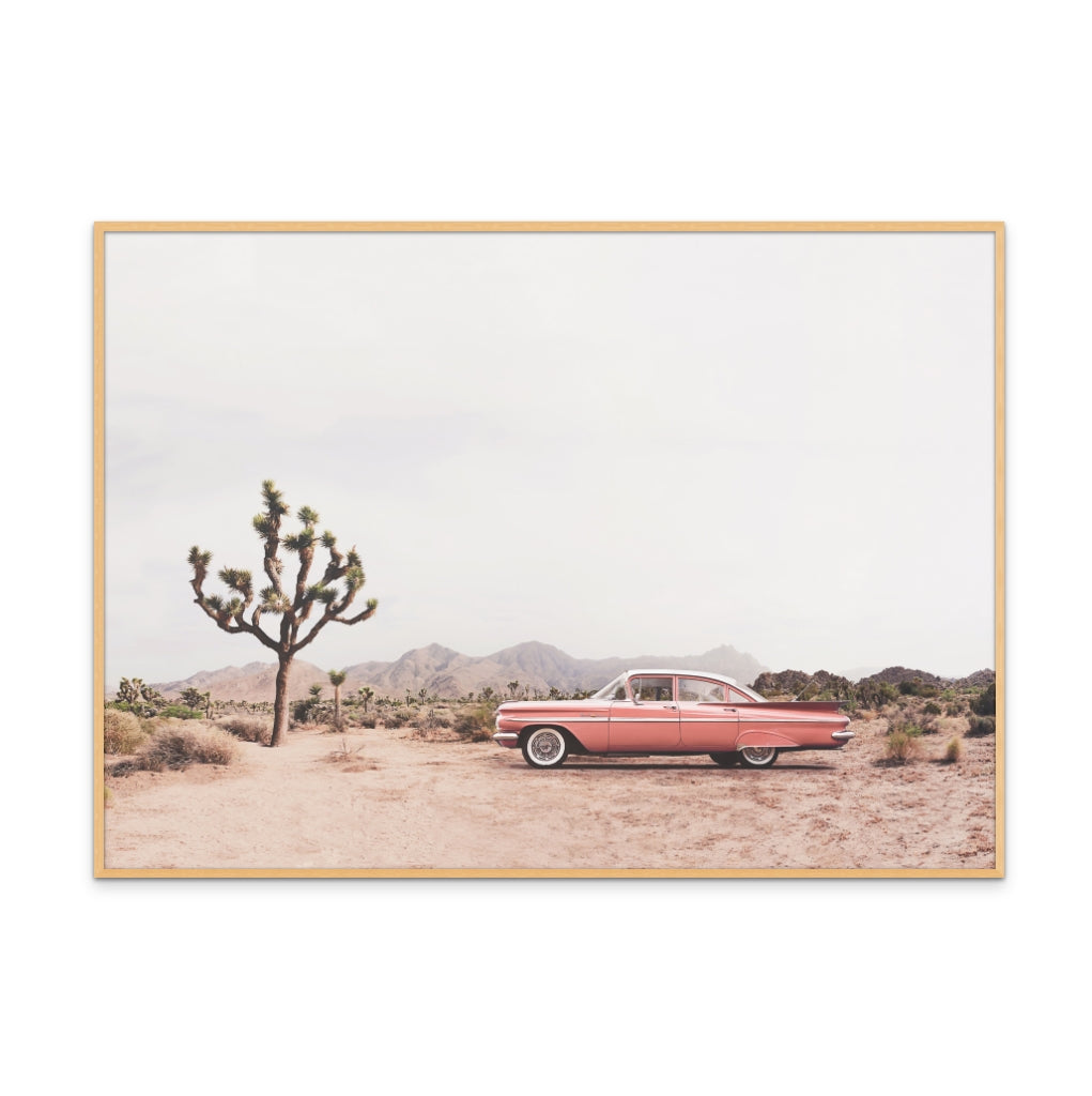 In the desert Art Print