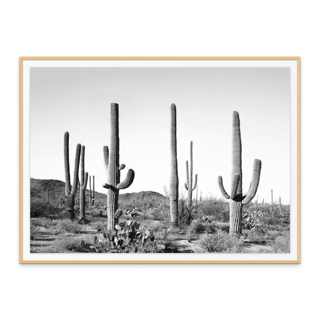 Cuadro "Grey Cactus Land" – Wall Studio